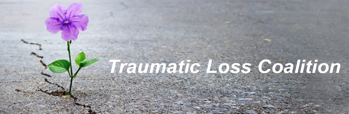 Traumatic Loss Coalition Image
