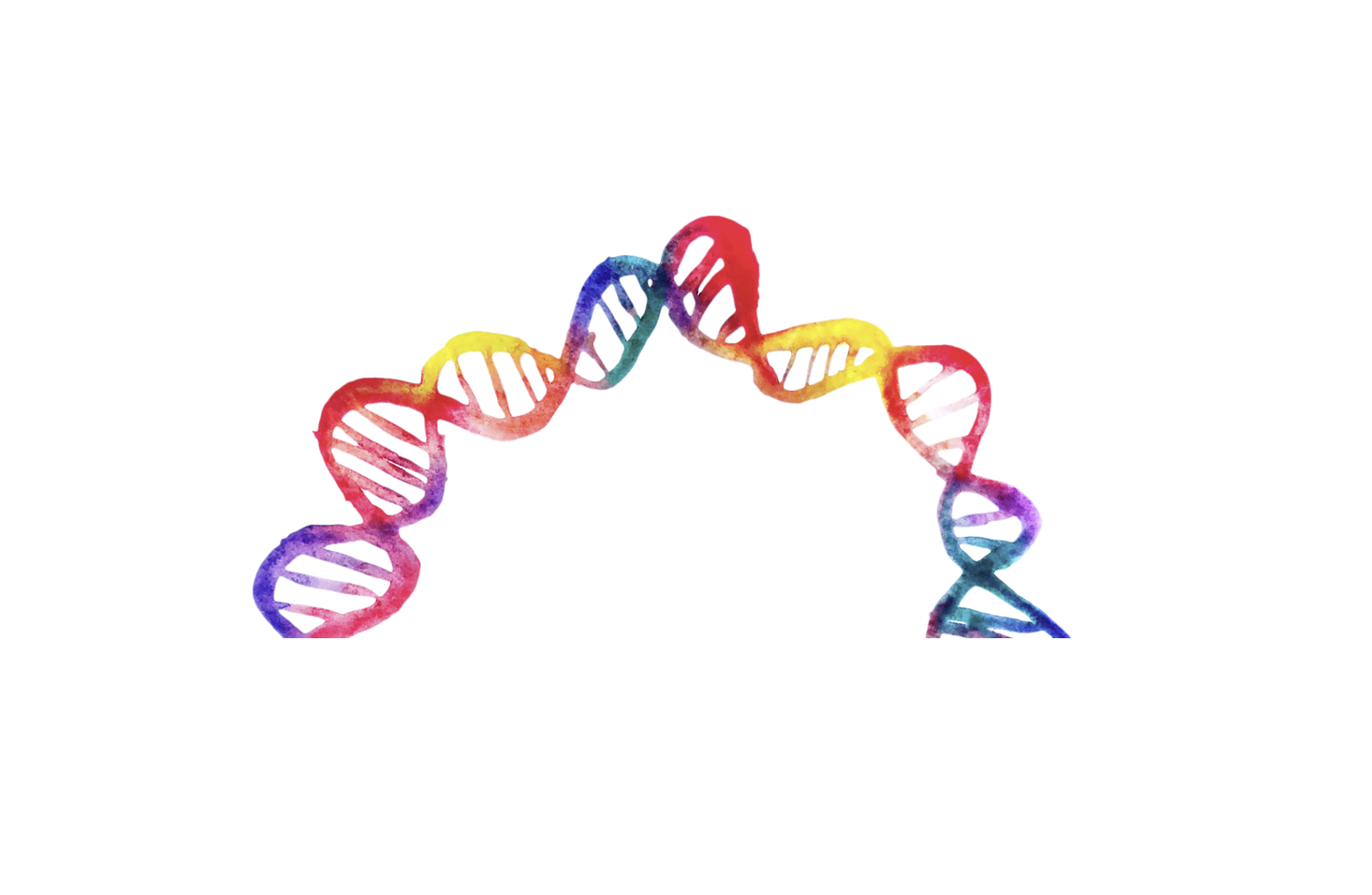 A colorful watercolor illustration of a DNA double helix forming an arch shape, symbolizing genetics, heredity, and behavioral health research.