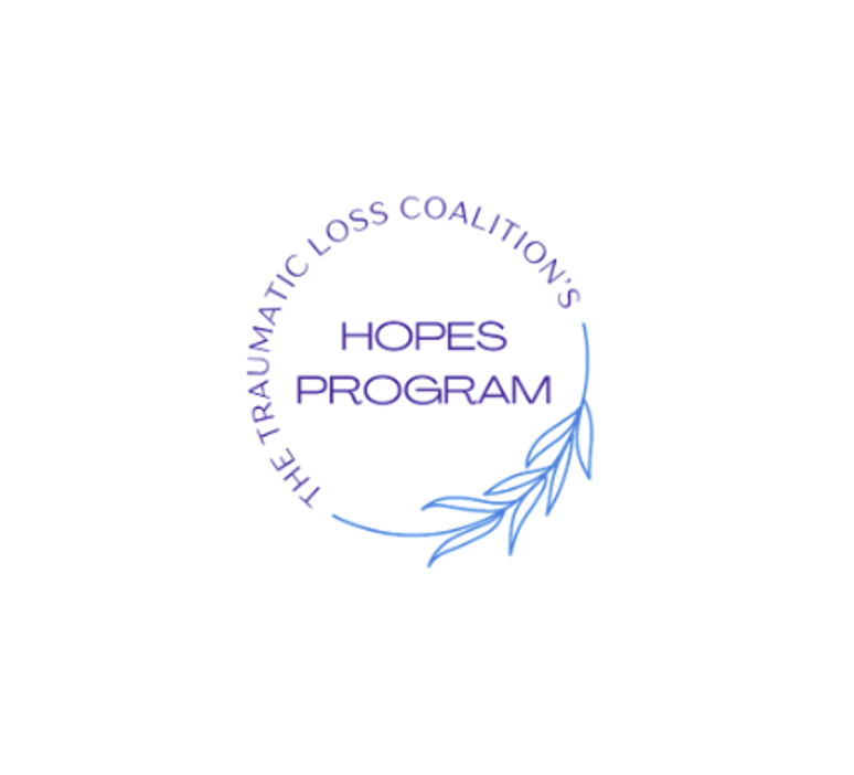 Logo for the Traumatic Loss Coalition’s HOPES Program featuring purple and blue text with a leafy branch design.