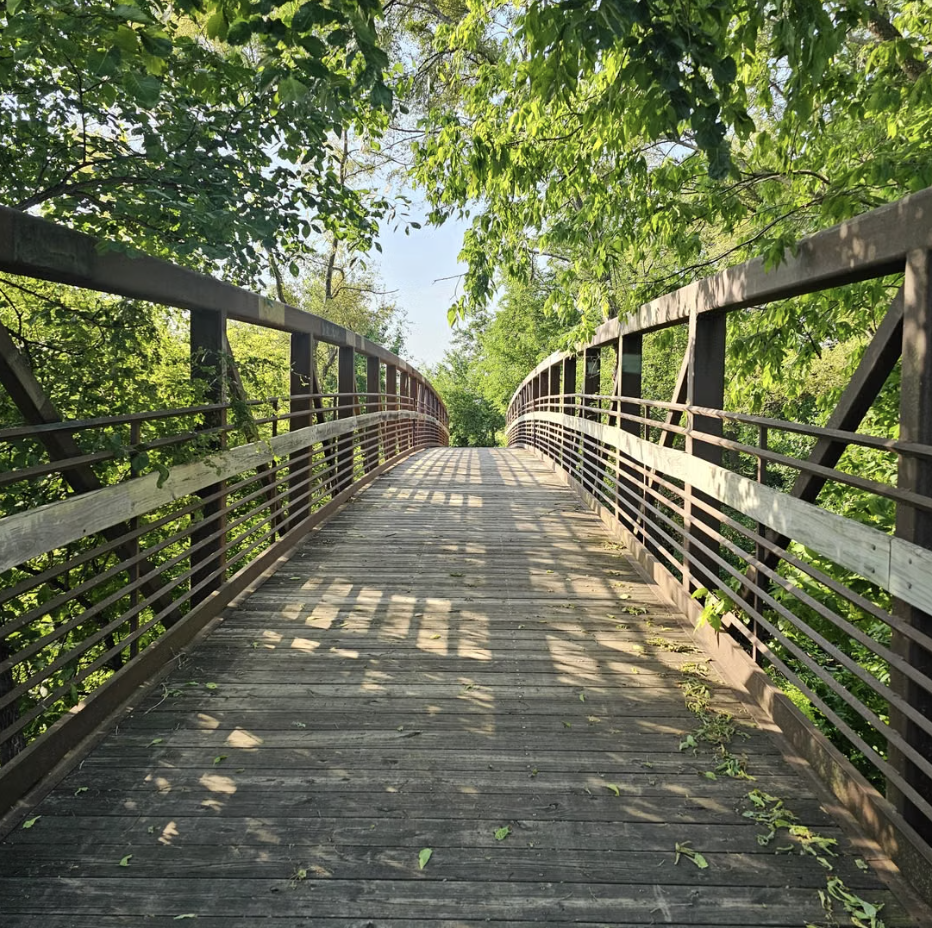 Wooden bridge surrounded by trees and greenery.